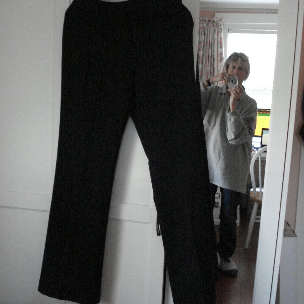 JCrew wool pants Favorite Fit